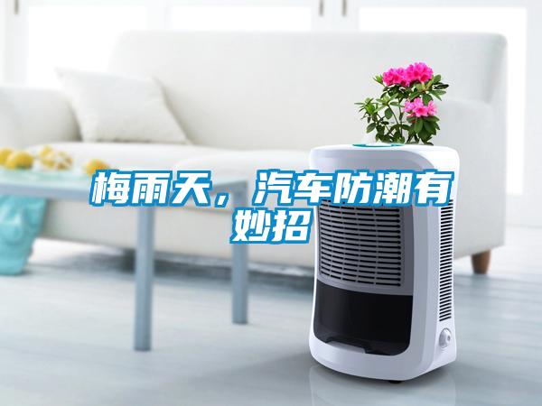 梅雨天，汽車防潮有妙招