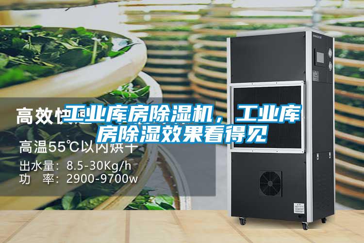 工業(yè)庫(kù)房除濕機(jī)，工業(yè)庫(kù)房除濕效果看得見(jiàn)