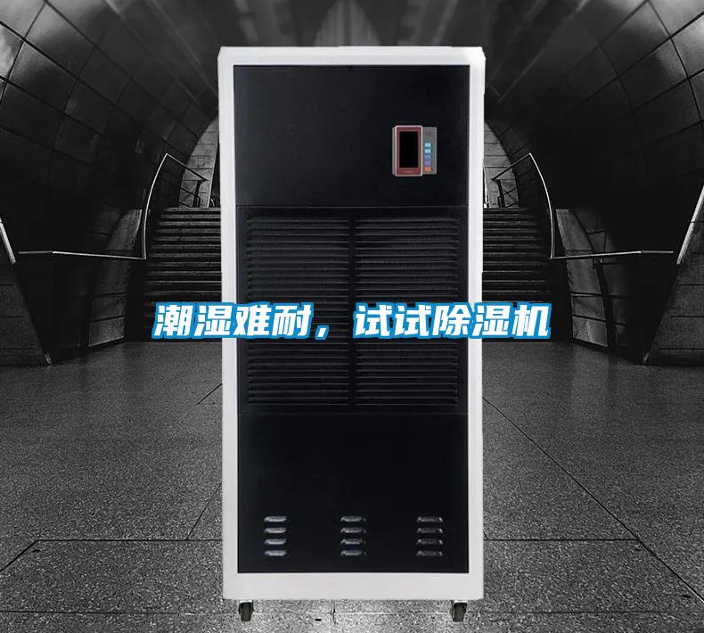潮濕難耐，試試除濕機(jī)