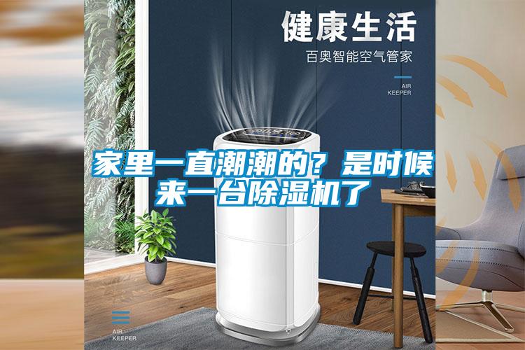 家里一直潮潮的？是時(shí)候來一臺(tái)除濕機(jī)了