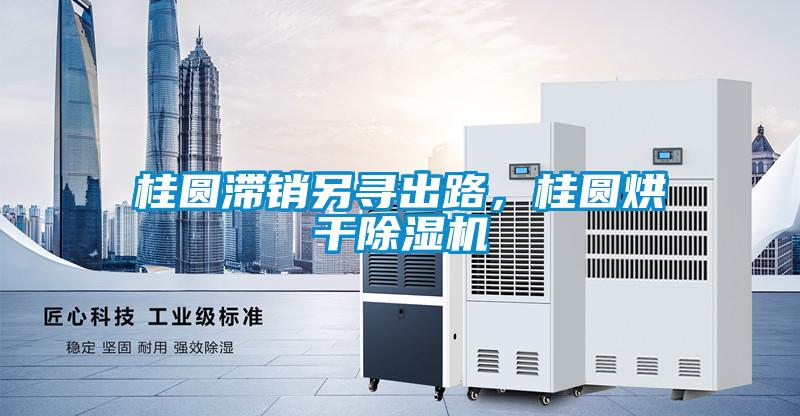 桂圓滯銷另尋出路，桂圓烘干除濕機(jī)