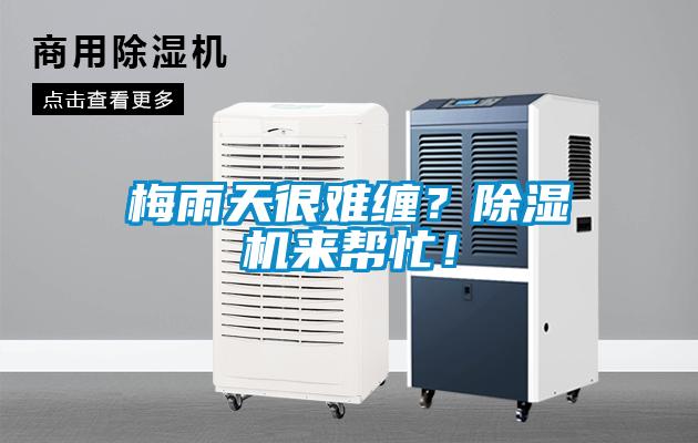 梅雨天很難纏？除濕機來幫忙！