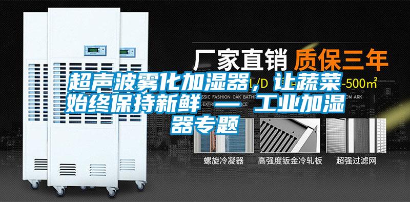 超聲波霧化加濕器，讓蔬菜始終保持新鮮 — 工業(yè)加濕器專題