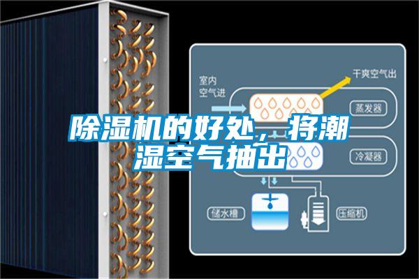除濕機(jī)的好處，將潮濕空氣抽出