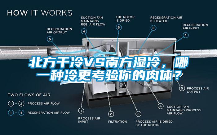 北方干冷VS南方濕冷，哪一種冷更考驗?zāi)愕娜怏w？