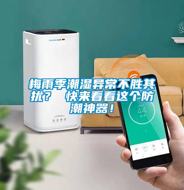 梅雨季潮濕異常不勝其擾？ 快來看看這個防潮神器！