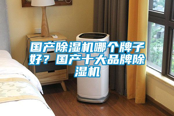 國(guó)產(chǎn)除濕機(jī)哪個(gè)牌子好？國(guó)產(chǎn)十大品牌除濕機(jī)