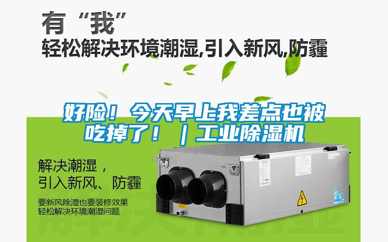 好險(xiǎn)！今天早上我差點(diǎn)也被吃掉了?。I(yè)除濕機(jī)