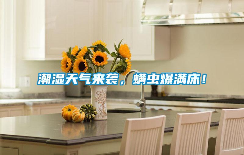 潮濕天氣來襲，螨蟲爆滿床！
