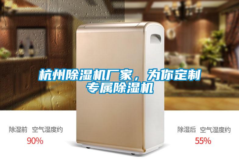 杭州除濕機(jī)廠家，為你定制專(zhuān)屬除濕機(jī)