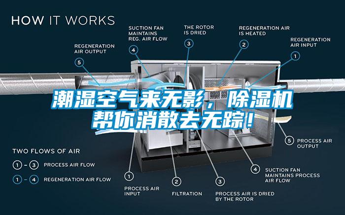 潮濕空氣來無影，除濕機幫你消散去無蹤！