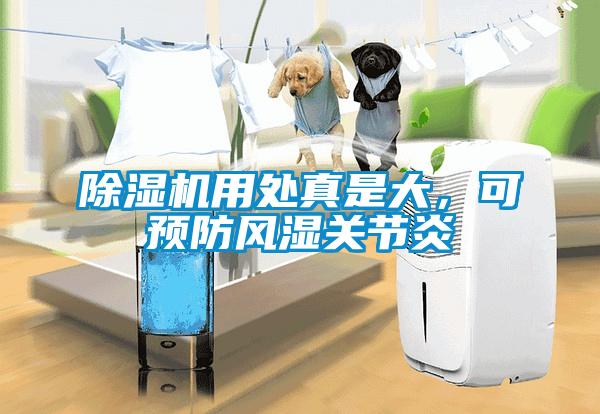 除濕機用處真是大，可預防風濕關節(jié)炎