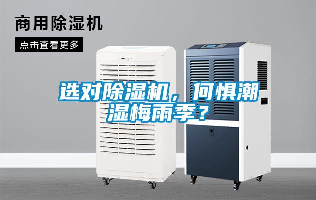 選對除濕機，何懼潮濕梅雨季？