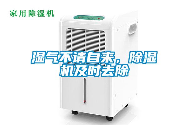 濕氣不請(qǐng)自來，除濕機(jī)及時(shí)去除
