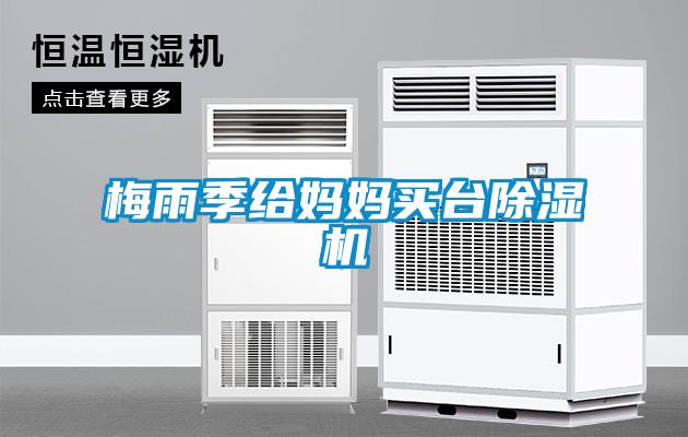 梅雨季給媽媽買(mǎi)臺(tái)除濕機(jī)