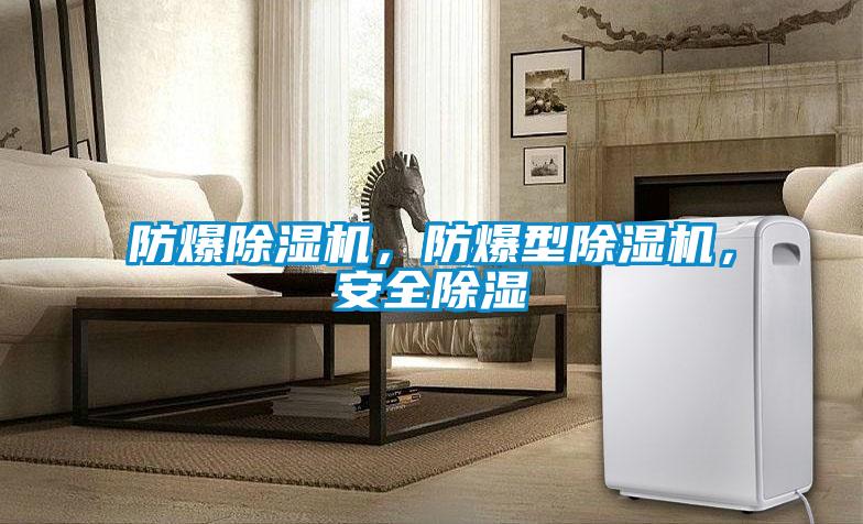 防爆除濕機，防爆型除濕機，安全除濕