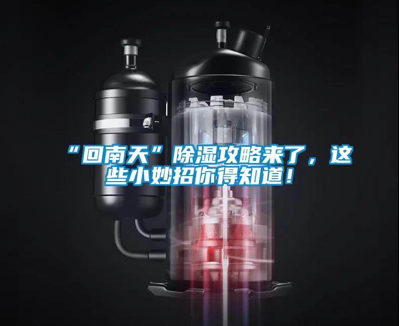 “回南天”除濕攻略來了，這些小妙招你得知道！