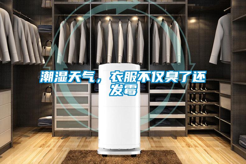 潮濕天氣，衣服不僅臭了還發(fā)霉
