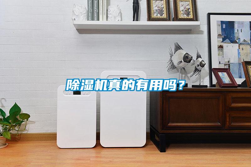 除濕機(jī)真的有用嗎？