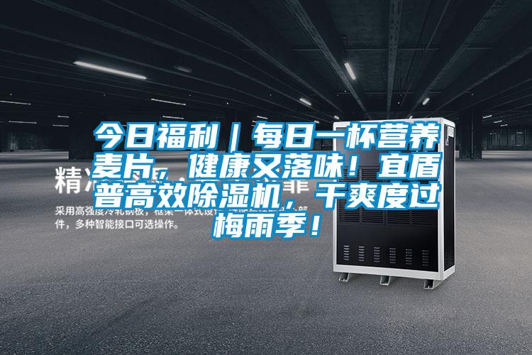 今日福利｜每日一杯營養(yǎng)麥片，健康又落味！宜盾普高效除濕機，干爽度過梅雨季！