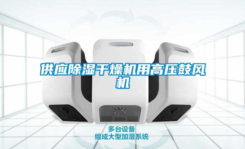 供應(yīng)除濕干燥機用高壓鼓風機