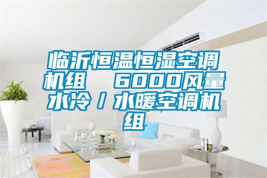 臨沂恒溫恒濕空調(diào)機(jī)組  6000風(fēng)量水冷／水暖空調(diào)機(jī)組