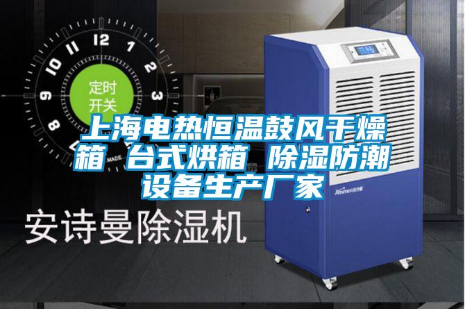 上海電熱恒溫鼓風干燥箱 臺式烘箱 除濕防潮設備生產(chǎn)廠家