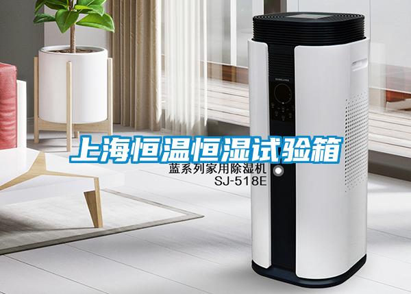 上海恒溫恒濕試驗箱