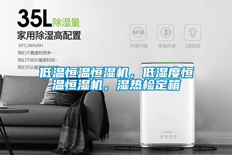 低溫恒溫恒濕機(jī)，低濕度恒溫恒濕機(jī)，濕熱檢定箱