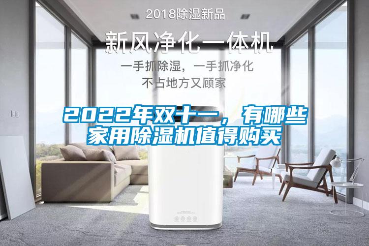 2022年雙十一，有哪些家用除濕機(jī)值得購(gòu)買