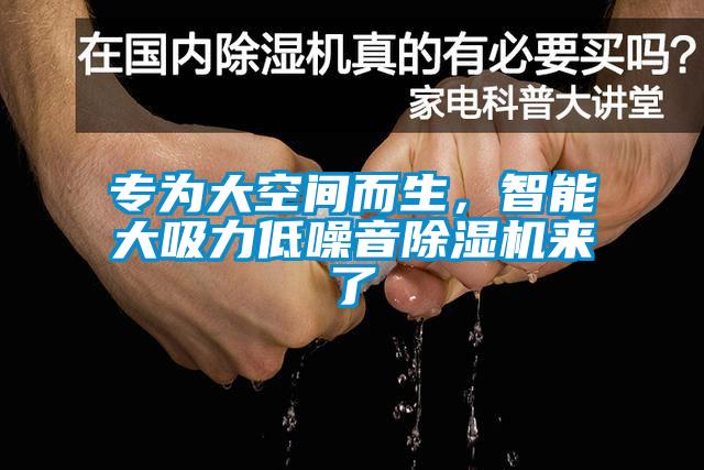 專為大空間而生，智能大吸力低噪音除濕機(jī)來了