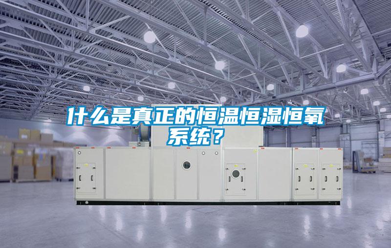 什么是真正的恒溫恒濕恒氧系統(tǒng)？