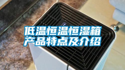 低溫恒溫恒濕箱產(chǎn)品特點(diǎn)及介紹