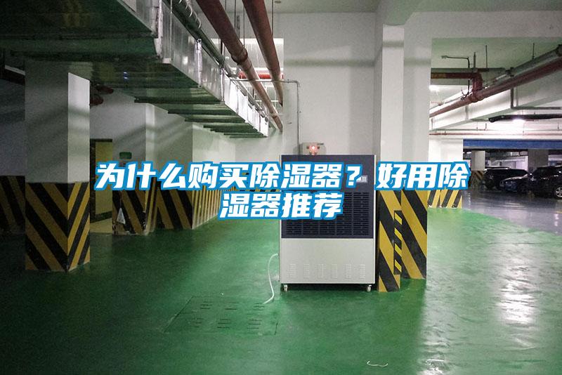 為什么購買除濕器？好用除濕器推薦