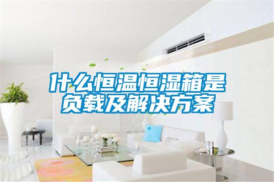 什么恒溫恒濕箱是負載及解決方案