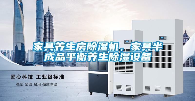 家具養(yǎng)生房除濕機(jī)，家具半成品平衡養(yǎng)生除濕設(shè)備