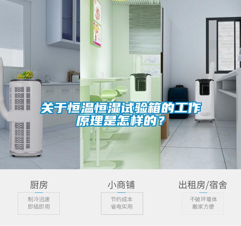 關(guān)于恒溫恒濕試驗(yàn)箱的工作原理是怎樣的？