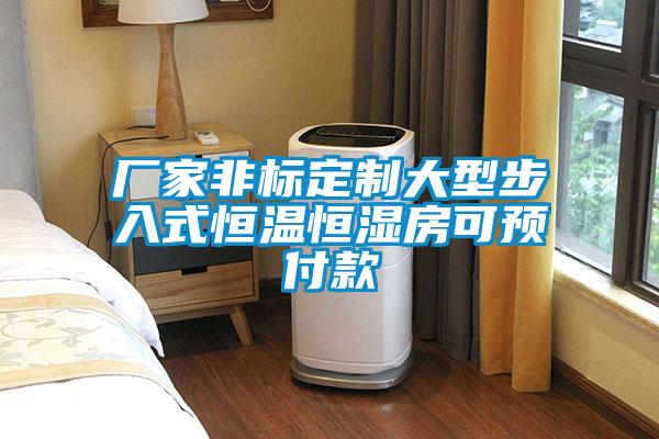 廠家非標定制大型步入式恒溫恒濕房可預付款