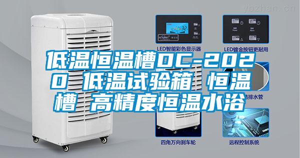 低溫恒溫槽DC-2020 低溫試驗(yàn)箱 恒溫槽 高精度恒溫水浴