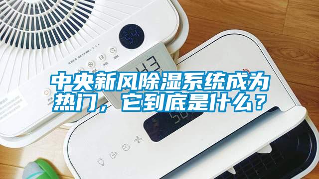 中央新風(fēng)除濕系統(tǒng)成為熱門，它到底是什么？