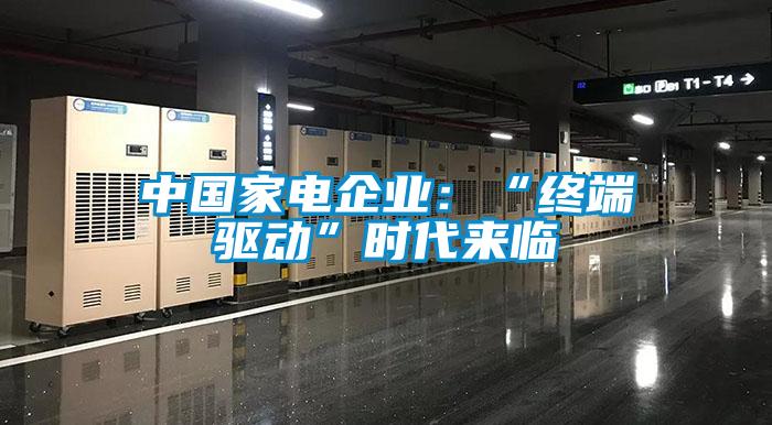 中國家電企業(yè)：“終端驅(qū)動”時(shí)代來臨