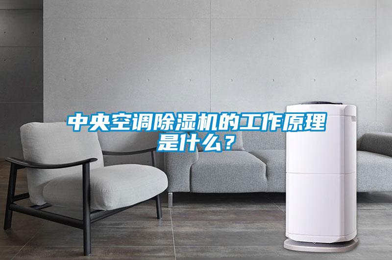 中央空調(diào)除濕機(jī)的工作原理是什么？