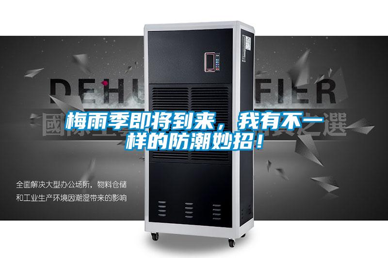 梅雨季即將到來，我有不一樣的防潮妙招！