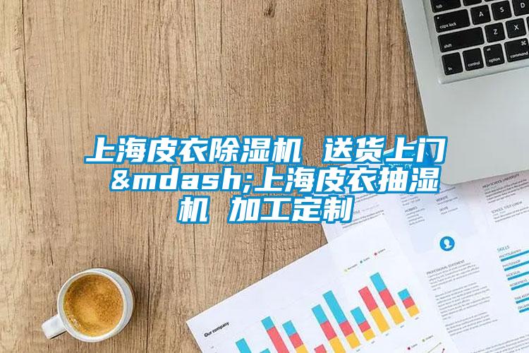 上海皮衣除濕機(jī) 送貨上門(mén) —上海皮衣抽濕機(jī) 加工定制