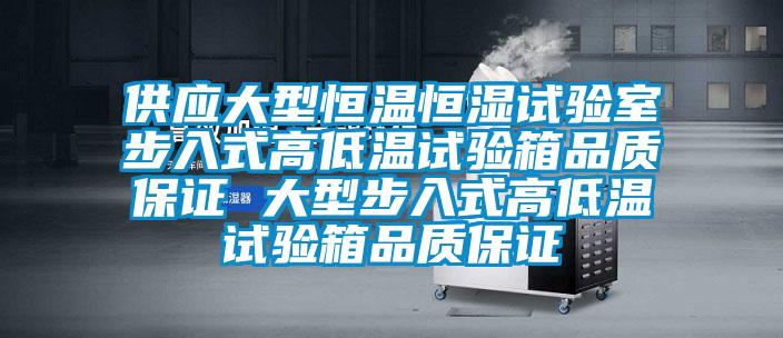 供應(yīng)大型恒溫恒濕試驗(yàn)室步入式高低溫試驗(yàn)箱品質(zhì)保證 大型步入式高低溫試驗(yàn)箱品質(zhì)保證