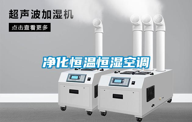 凈化恒溫恒濕空調(diào)