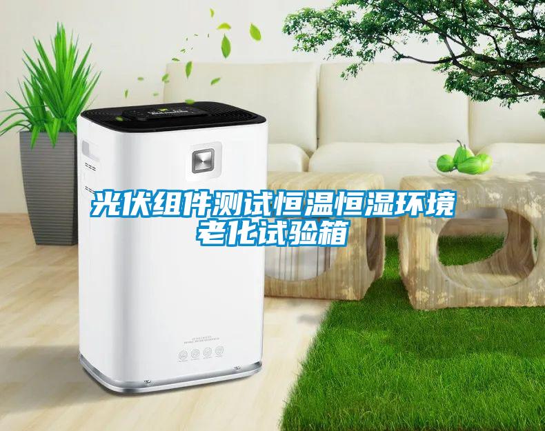 光伏組件測試恒溫恒濕環(huán)境老化試驗箱