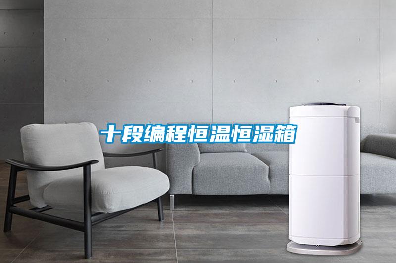 十段編程恒溫恒濕箱