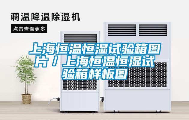 上海恒溫恒濕試驗箱圖片／上海恒溫恒濕試驗箱樣板圖