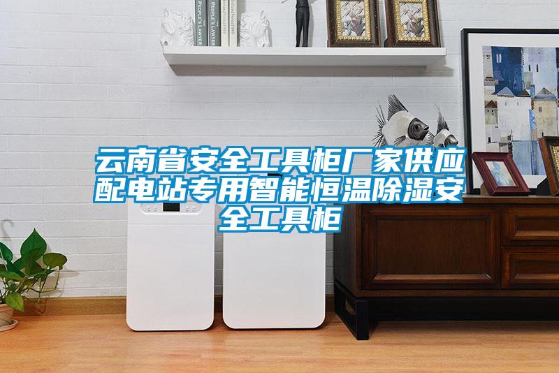 云南省安全工具柜廠家供應(yīng)配電站專用智能恒溫除濕安全工具柜
